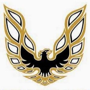 Meet your Posher, Todd